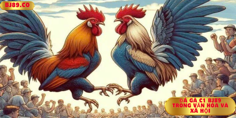 Đá gà C1 Bj89 trong văn hóa và xã hội Đá gà C1 Bj89 trong văn hóa và xã hội