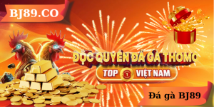 Đá gà BJ89