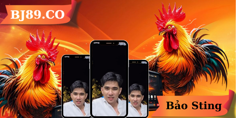 Bảo Sting