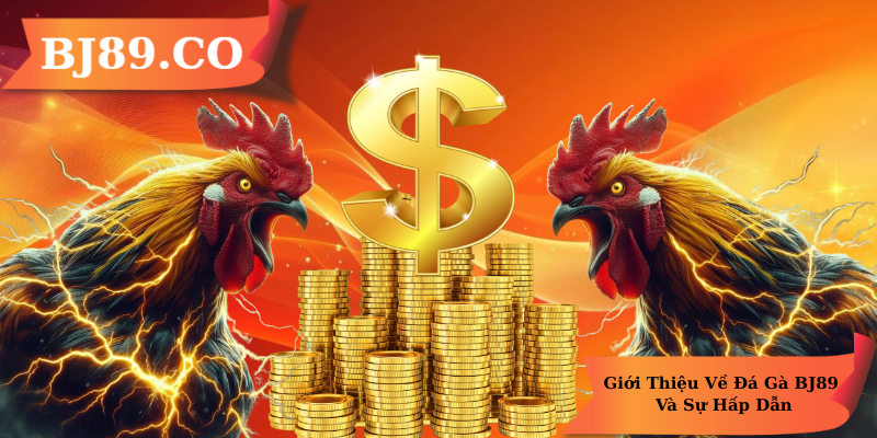 Giới thiệu về Đá Gà BJ89 Và Sự kiện nổ dẫn