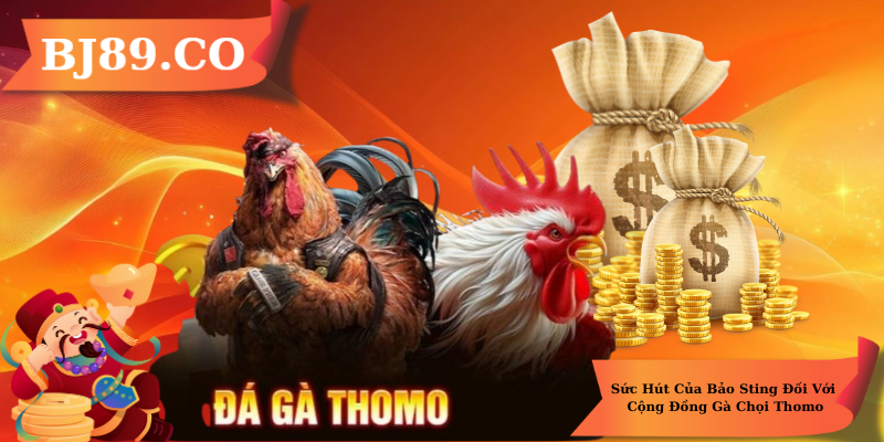 Sức mạnh của Bảo Sting Đối với Cộng Đồng Gà Choi Thomo Sức mạnh của Bảo Sting Đối với Cộng Đồng Gà Choi Thomo