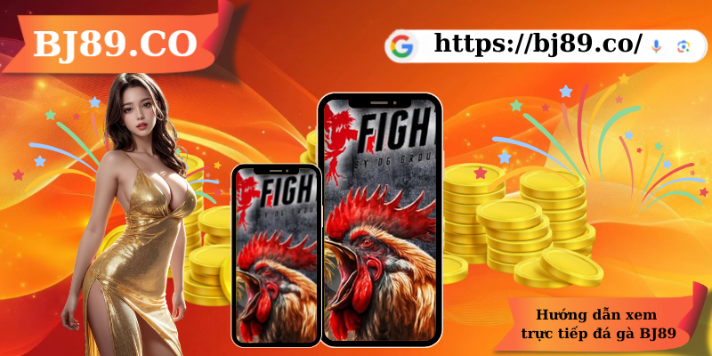 Hướng dẫn xem trực tiếp đá gà BJ89 Hướng dẫn xem trực tiếp đá gà BJ89