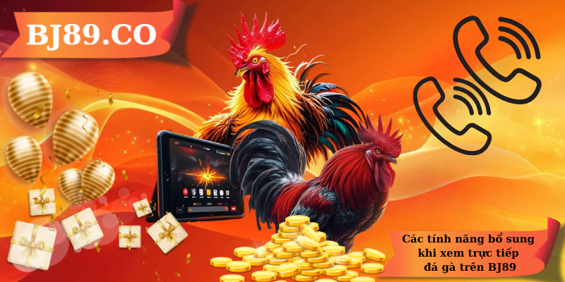 Các tính năng bổ sung khi xem trực tiếp đá gà trên BJ89 Các tính năng bổ sung khi xem trực tiếp đá gà trên BJ89