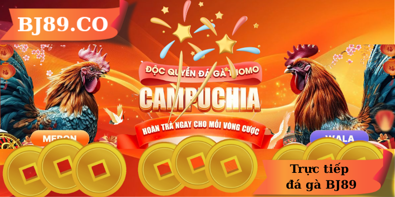 Trực tiếp đá gà BJ89