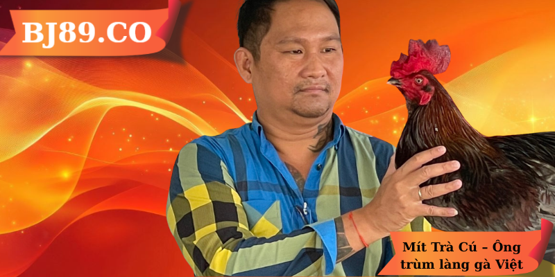 Mít Trà Cú - Ông trùm làng gà Việt Mít Trà Cú - Ông trùm làng gà Việt