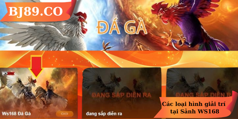 Các loại hình giải trí tại Sảnh WS168 Các loại hình giải trí tại Sảnh WS168