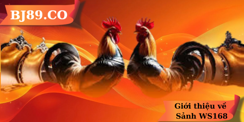 Giới thiệu về Sảnh WS168 Giới thiệu về Sảnh WS168