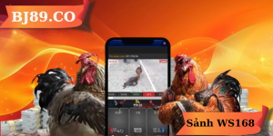 Sảnh WS168