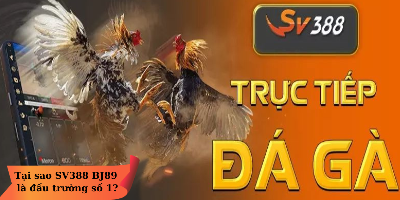 Tại sao SV388 BJ89 là đấu trường số 1? Tại sao SV388 BJ89 là đấu trường số 1?